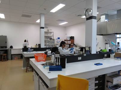 Foto del laboratorio, se ven varias mesas de trabajo y equipo de laboratorio, además hay varios investigadores trabajando