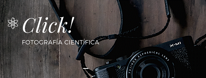 Imagen alusiva a la sección "Fotografía científica", se ve sobre una mesa de madera una cámara y un rótulo en letras blancas que dice "Click! Fotografía científica".