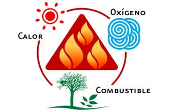 Imagen de un dibujo de los componentes del triángulo del fuego (calor, oxígeno y combustible). 