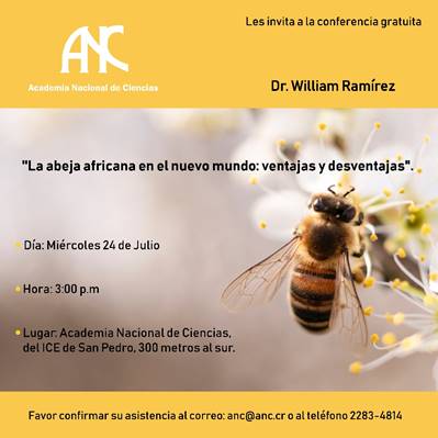 Afiche de la Conferencia gratuita "La abeja africana en el nuevo mundo: ventajas y desventajas, próximo miércoles 24 de julio, 3:00 pm, en la Academia Nacional de Ciencias.