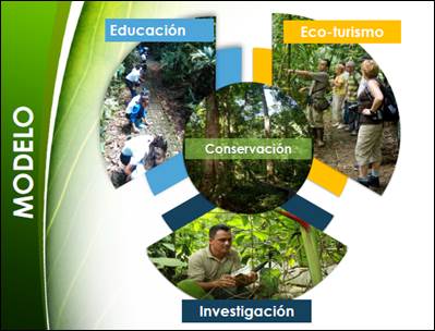Imagen del modelo de tres ejes donde una figura de forma circular, en el centro está conservación, arriba Educación y Eco-turismo y abajo Investigación.