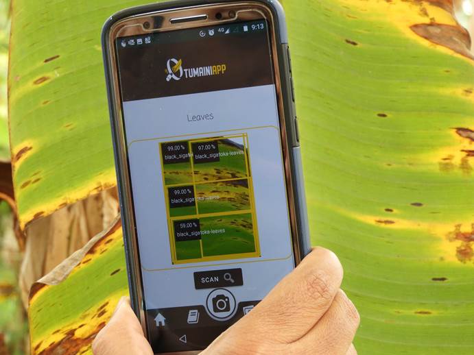 Foto de un celular con la aplicación utilizada en una hojas de vástago, Tumaini app 2