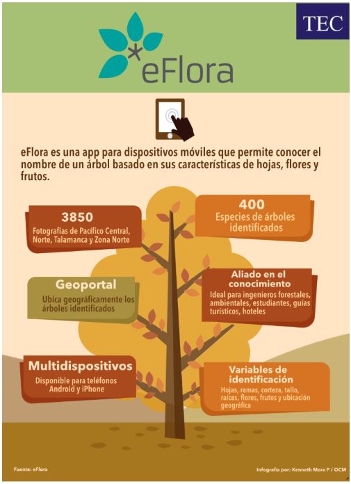 Foto de la portada de la aplicación EFlora la cual tiene este título "eFlora es una app para dispositivos móviles que permite conocer el nombre de un árbol basado en sus características de hojas, flores y frutos".