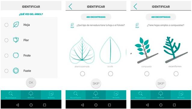 Foto de una de las pantallas de la app, donde muestra las opciones de identificar hojas, flores, frutos y fuste.