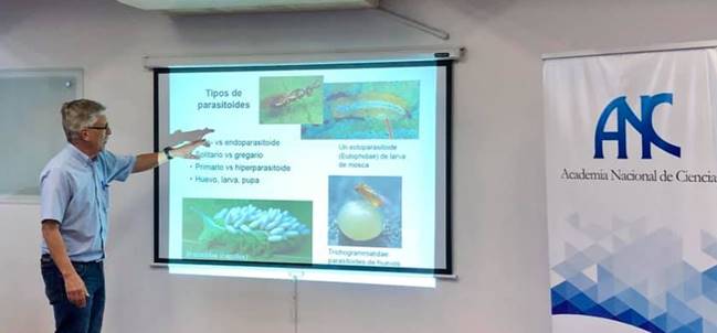 El doctor Hanson mientra dicta la charla muestra los "Tipos de parasitoides" en la pantalla de proyección.