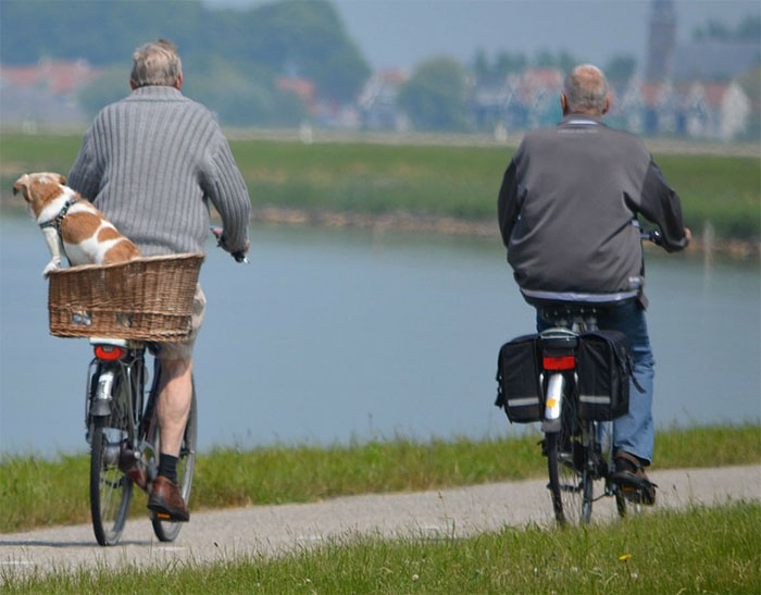 Foto ilustrativa, dos adultos mayores conduciendo bicicleta.