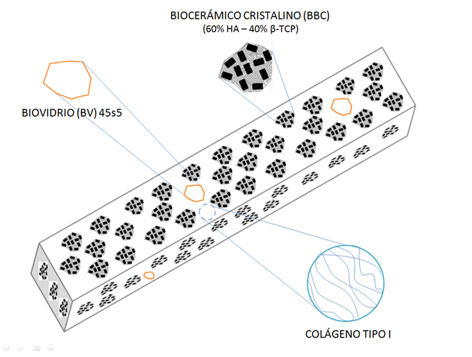 Foto ilustrativa, un dibujo que muestra la composición del biomaterial, se notan tres elementos Biocerámico cristalino, biovidrio y colágeno.