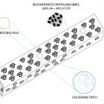 Misma foto de arriba. Foto ilustrativa, un dibujo que muestra la composición del biomaterial, se notan tres elementos Biocerámico cristalino, biovidrio y colágeno.  Créditos: Cristian Martínez.