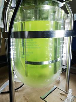 Foto del bioreactor con cultivos, en una base de metal con un líquido verde amarillo.
