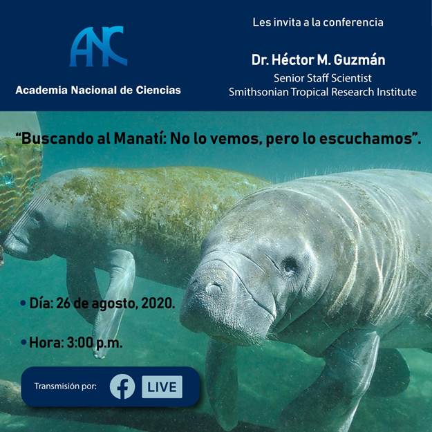Afiche de conferencia "Buscando al Manatí: No lo vemos, pero lo escuchamos"; dictada por el Dr. Héctor M. Guzmán; el día 26 agosto, 2020; Hora 3:00 pm, transmisión por face live