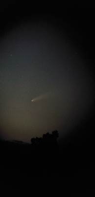Foto del Cometa tomada por José Manuel Bautista, en un fondo negro se ve el cometa en el centro.