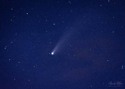 Foto del Cometa Neowise tomada por Claudio Mejíase, se nota el cometa en el centro de un cielo azul oscuro..