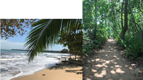 Foto ilustrativa, una playa y un sendero, refiriéndose a temas ambientales.