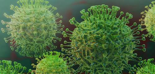 Foto de un coronavirus vista de microscopio ampliada, son de color verde y son como esferas con algo parecido a palitos con ojos